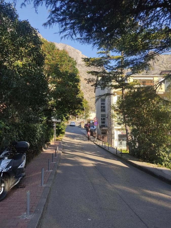 Apartment Oaza コトル エクステリア 写真