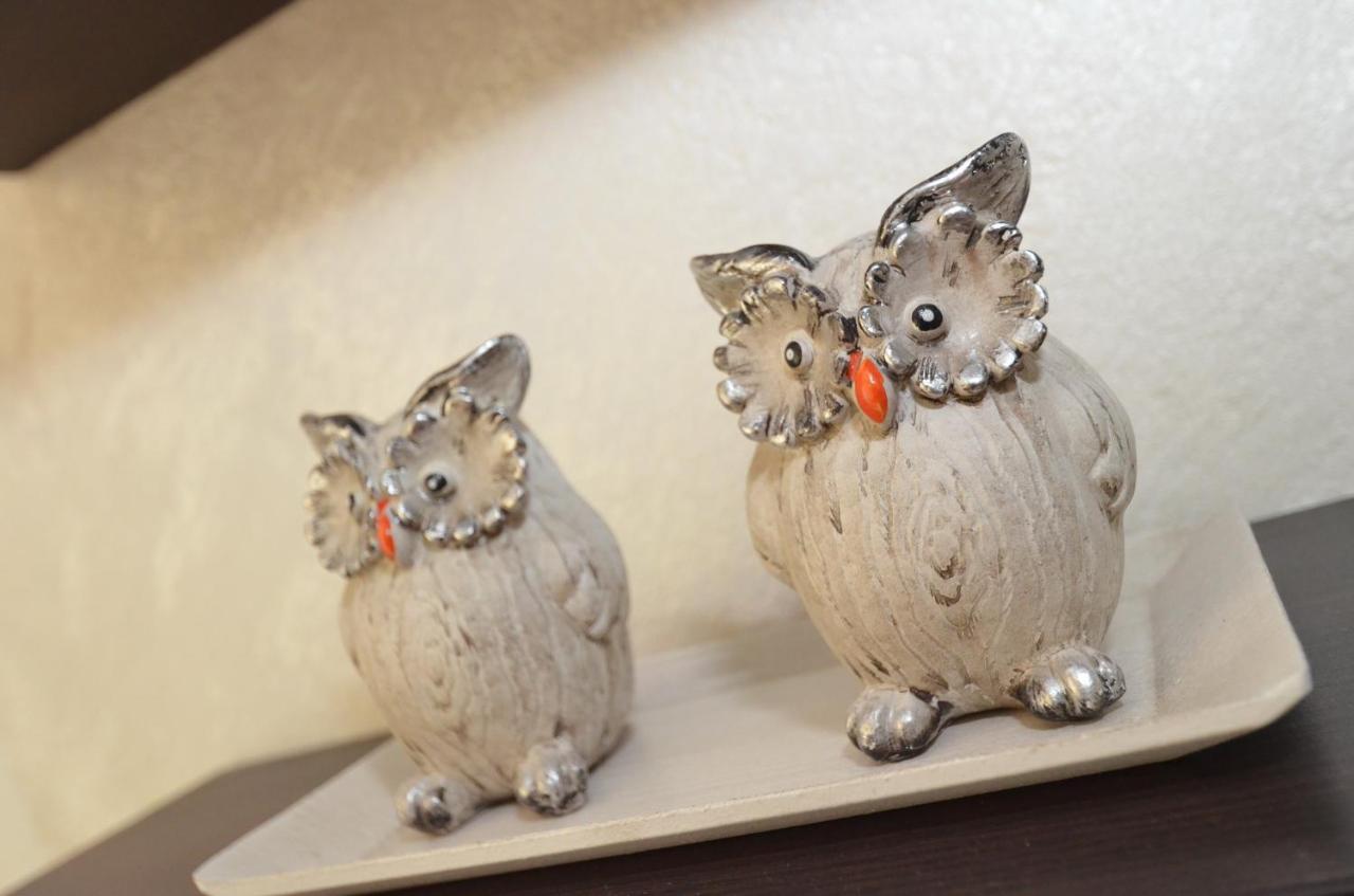 Apartment Oaza コトル エクステリア 写真